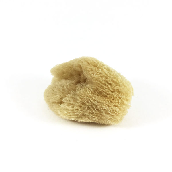 small facial sponge